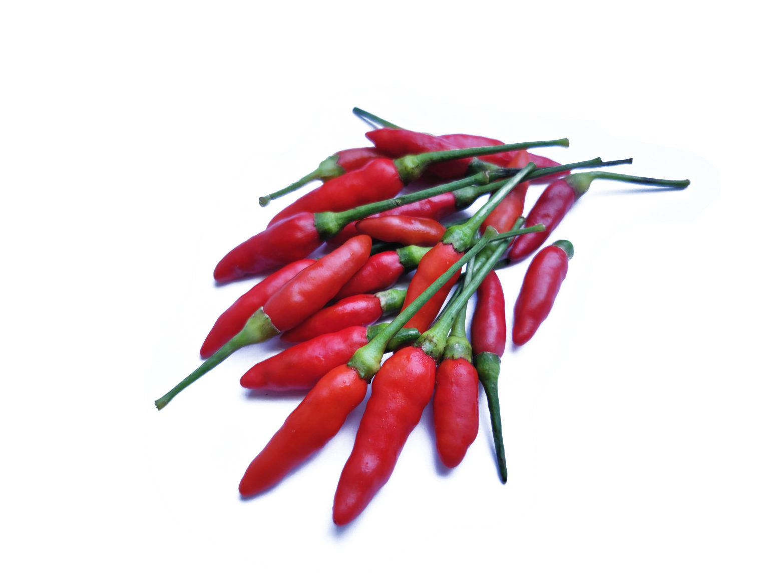 Bird Eye Chilli Red – Koerner Agro Export Center